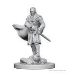 NECA D&D Nolzurs Marvelous Unpainted Miniatures: Wave 1: Vampires