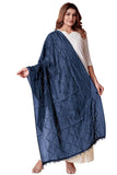 Ebadat Lightweight, Soft Stole With Sparkling Box Sequin Accents | Contemporary Ethnic Layer For Women