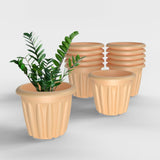 Yuccabe Italia Shera Floot Plastic Flower Pot Round Planter Suitable For Indoor Outdoor Kitchen Garden (Beige, 10 Inch 12 Pcs)