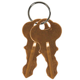 Safety Technology International, Inc. KITH19032 Two Replacement Keys #2341