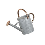 Zoomella Metal Watering Can For Outdoor And Indoor Plants Large Large Filling Opening 4L|Watering Cans| Watering Equipment