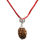 Arihant Gems & Jewels 3 Mukhi/Faced Indian Rudraksha with 925 Sterling Silver Trishul Pendant 100% Natural, Original Astrologica