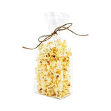 ClearBags Clear Gusset Bags w/Paper Insert, 3 1/2x2 1/4x9 3/4,100 Pieces, High Clarity Flat Bottom Treat Bags for Gifts, Cookies