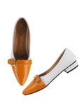Shoetopia Pointed Toe Yellow Belly For Girls-Eu36,Bronze,3,B0D5HFLC7X