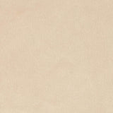 Shannon Minky Solid Cuddle 3 Beige, Fabric by the Yard