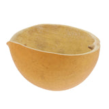 Ciieeo Natural Gourd Scoop Kitchen Water Scoop for Washing Fruits and Vegetables Household Water Spoon for Cooking and Gardening