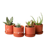 The Handicraftian Autumn Planter Set With Plate | For Home Decoration Flower Pot 4 Inch Small (Pack Of 2)