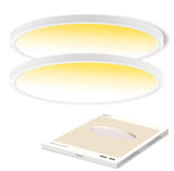 CycevSun 15.8 Inch Dimmable LED Ceiling Light Flush Mount, 3000K-4000K-5000K Selectable - 24W Super Bright 2400LM - Slim Large R