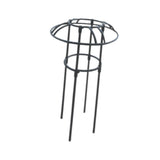 Heavenglow Garden Obelisk Trellis Rust Resistant Potted Plant Support For Flowers Vines 50Cm 1 Umbrella|Plant Tiessupports|Home