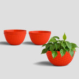 Yuccabe Italia Shera Chick Ktr 10 Inch Pack Of 6 Pcs Plastic Flower Pot Unbreakable Round Shape Bowl Planter Suitable For Home G