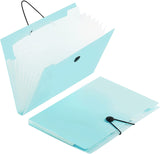 SKYFUN Expanding File Folder,Accordian File Organizer,with Labels,A4 Letter Size Paper Document Receipt Organizer Storage of Off