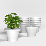 Yuccabe Italia Shera Sd 8 Inch Pack Of 12 Pcs Plastic Flower Pot Unbreakable Round Shape Planter Plastic Gamle For Garden Seedli