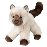 HILDA HIMALAYAN CAT (4/48)