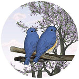 Screen Door Magnets Double Sided - Keep People, Kids, and Dogs from Running into a Screen Door. Saver - Robbins Aria Blue Birds