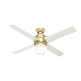 Hunter Fan Company, Hepburn Brass Ceiling Fan with LED Light Kit and Wall Control, Ceiling Fans with Lights 52 inch, 59320