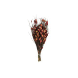 Vickerman 15-20 Red Bell Female Short 5-6 Oz Bundle Preserved