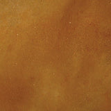 Concrete Acid StainSemi-Transparent Professional Grade Cement Stain (16 Ounce, Western Saddle)