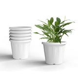 Yuccabe Italia Shera Crown 10 Inch Planter Pack Of 6 Nursery Pots Set Plastic Planter For Plants Nursery Seedling Germination Po