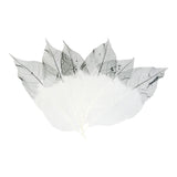 ATORSE 50Pcs Natural Magnolia Skeleton Leaves Leaf Scrapbook Craft Supply Black+WhiteCrafts|Scrapbooking & Paper Crafts|Scrapboo