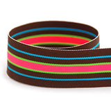 USA | American Made 3/8 Bermuda Hot Striped Grosgrain Ribbon (Brown, Turquoise, Lime Green, Hot Pink Ribbon) - 20 Yards (Multipl