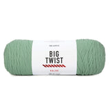 Craftz Worsted Yarn Big Twist or Loops&Threads (Sage)