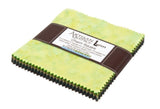 Lunn Studios PRISMA DYES RAINFOREST BATIKS Precut 5inch Charm Pack Cotton Fabric Quilting Squares Assortment Robert Kaufman CHS