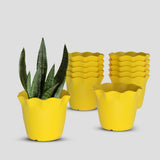 Yuccabe Italia Shera 8 Inch Plastic Flower Pot 12 Piece Set Of Unbreakable Round Shape Planter For Home Garden Seedling, Indoor