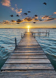 31 X 44 Panel Cotton Beach Ocean Sea Water Birds Animals Sand Waves Pier Multicolor Fabric Panel (W5421-151-SUNSET) by Hoffman C