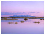 Full Moon Rising Over Sangre De Cristo Mountain Range, Alamosa National Wildlife Refuge, Colorado-Paper Art-50,,X38,,