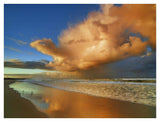 Sunset On The Ocean, New South Wales, Australia-Paper Art-42,,X32,,