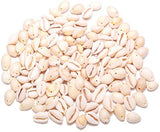 Zotoone 130-150 PCS Cowrie Shell Beads, White Natural Spiral Shell Beads Summer Beach Cowrie Shells for Jewelry Making DIY Craft