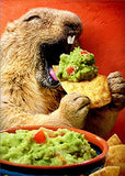 Avanti, Ground Hog Chip Dip