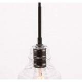 Living District Pierce 1-Light Mid-Century Metal Pendant In Black And Clear