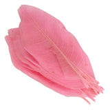 ECOMISTIQ 50Pcs Natural Catbrier Leaf Leaves Card Scrapbook Pink | Flower Embellishments | Scrapbooking Embellishments | Scrap