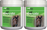 Kentucky Performance Products 2 Pack of Elevate Maintenance Power, 2 Pounds Each, Natural Vitamin E Horse Supplement