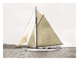 Yacht On Sydney Harbour-Paper Art-26,,X20,,