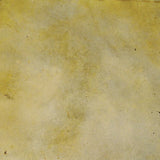 Concrete Acid StainSemi-Transparent Professional Grade Cement Stain (16 Ounce, Honey Oat)