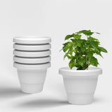 Yuccabe Italia Shera Sd 8 Inch Pack Of 6 Pcs Plastic Flower Pot Unbreakable Round Shape Planter Plastic Gamle For Garden Seedlin