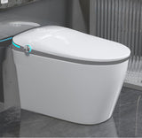 WinZo Modern Smart Toilet, 1.28 Intelligent Bidet Toilet with Auto Open/Close, Heated Seat with Warm Water and Dryer, Tankless D