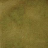 Concrete Acid StainSemi-Transparent Professional Grade Cement Stain (16 Ounce, Moss Green - Interior Only Color)