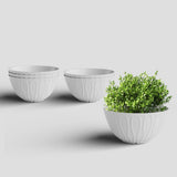 Yuccabe Italia Shera Wave Ktr Plastic 10 Inch Flower Pot 6 Piece Set Of Round Durable Planters For Plant Unbreakable Planter For