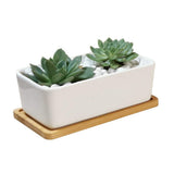 6.5 Inch Rectangle White Ceramic Succulent Planter Pot Decorative Cactus Plant Pot Flower Container With Bamboo Tray