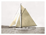 Yacht On Sydney Harbour-Paper Art-18,,X14,,