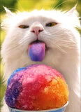 Cat Licking Snow Cone Funny Belated Birthday Card