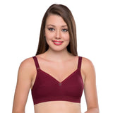 Trylo Namrata Bra Combo-38-Marun-C-Cup - Pack Of-2,MARUN,38,B0F1MX4ZB9