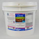 SU-PER Lyte Horse Electrolyte Supplement - Helps Maintain Normal Body Fluid Levels - Performance Horse Minerals & Electrolytes R