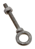 EYE BOLT GLV 5/16X21/4 (Pack of 1)