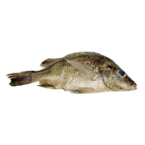 Frey Scientific Choice Preserved Perch, Plain Injected, Vacuum-Sealed Pack Of 10