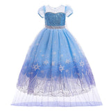 REXREII Girls Frozen Elsa Princess Sequins Dress Halloween Costume Christmas Birthday Pageant Party Evening Ball Gown 3T