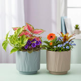 Xtore 2 Pc Graceful Fluted Ceramic Planter Pot For Indoor & Outdoor DCor | Textured Minimal Plant Holder For Living Room, Balcon
